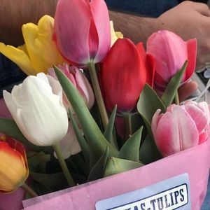 Meet your Posher, Karina